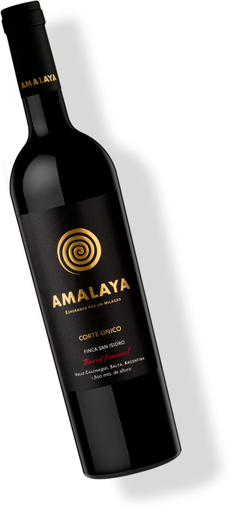 Amalaya Corte Único