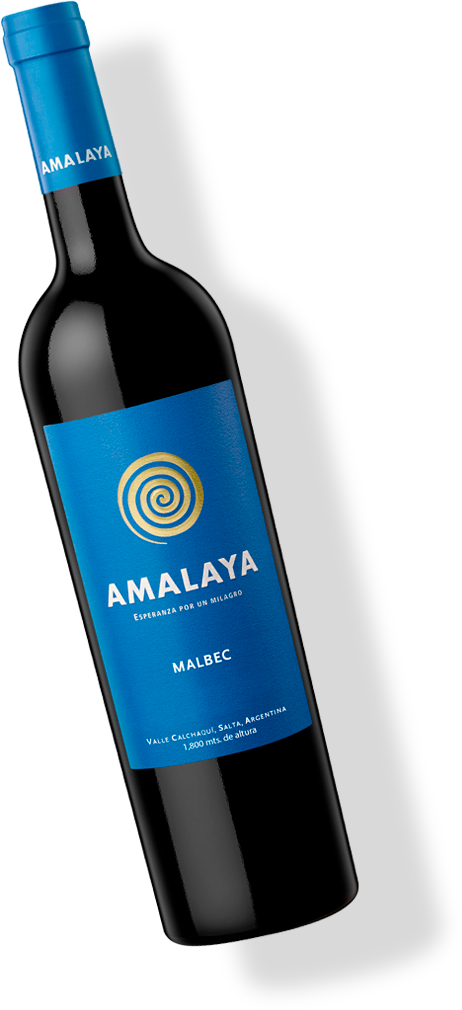 Amalaya Corte Único